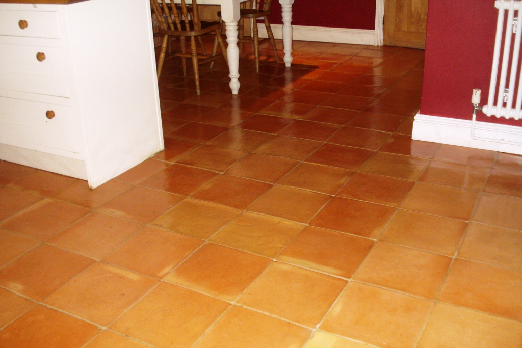 Terracotta Tile Cleaning after