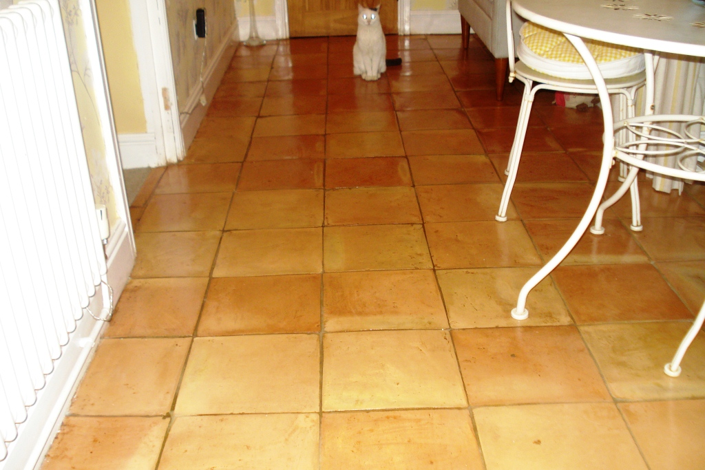 Terracotta Tile Cleaning after