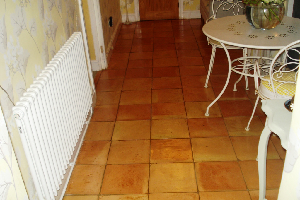 Terracotta Tile Cleaning after